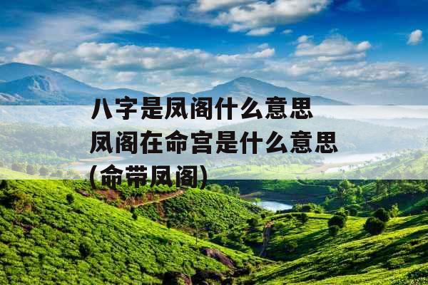 八字是凤阁什么意思 凤阁在命宫是什么意思(命带凤阁)
