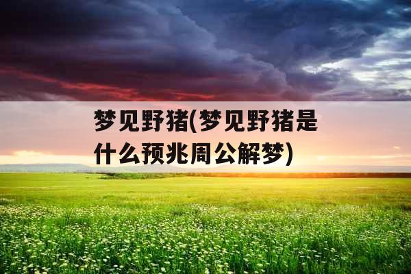 梦见野猪(梦见野猪是什么预兆周公解梦)