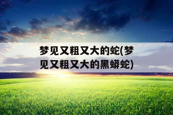 梦见又粗又大的蛇(梦见又粗又大的黑蟒蛇)