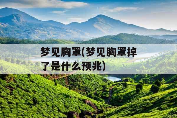 梦见胸罩(梦见胸罩掉了是什么预兆)