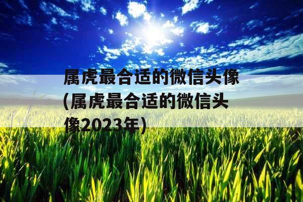 属虎最合适的微信头像(属虎最合适的微信头像2023年)