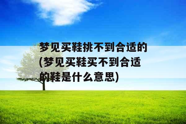 梦见买鞋挑不到合适的(梦见买鞋买不到合适的鞋是什么意思)