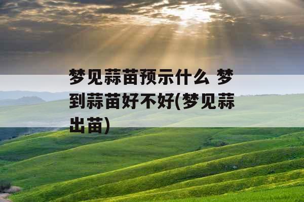 梦见蒜苗预示什么 梦到蒜苗好不好(梦见蒜出苗)