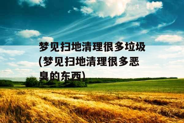 梦见扫地清理很多垃圾(梦见扫地清理很多恶臭的东西) 梦见扫地清理很多垃圾(梦见扫地清理很多恶臭的东西)