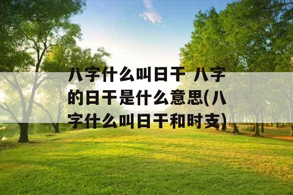 八字什么叫日干 八字的日干是什么意思(八字什么叫日干和时支)