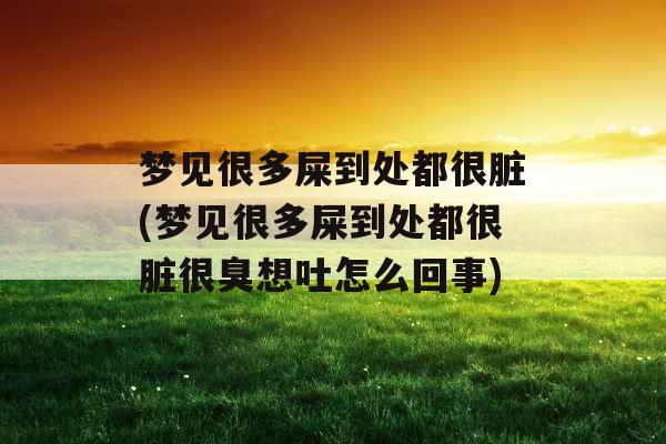 梦见很多屎到处都很脏(梦见很多屎到处都很脏很臭想吐怎么回事)