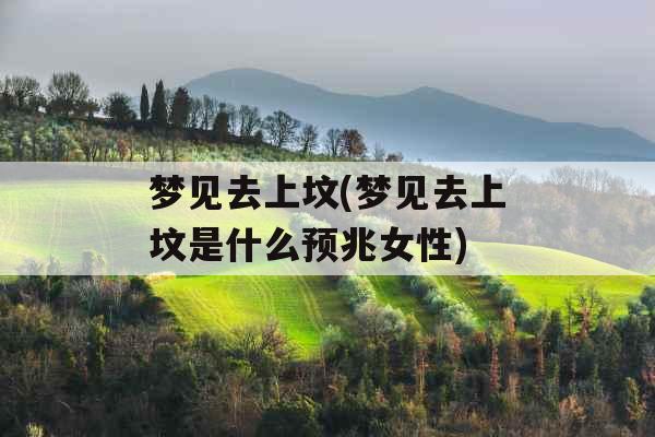 梦见去上坟(梦见去上坟是什么预兆女性)