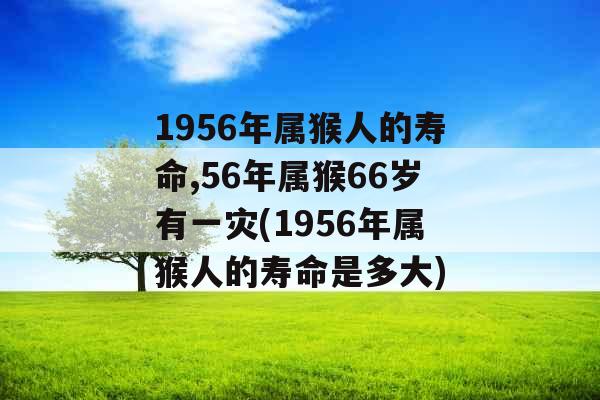 1956年属猴人的寿命,56年属猴66岁有一灾(1956年属猴人的寿命是多大)