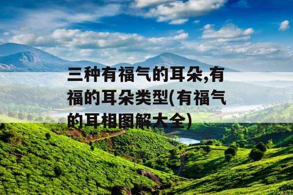 三种有福气的耳朵,有福的耳朵类型(有福气的耳相图解大全)