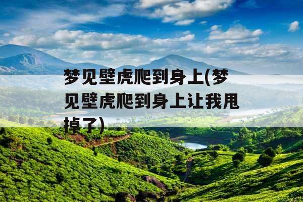 梦见壁虎爬到身上(梦见壁虎爬到身上让我甩掉了)