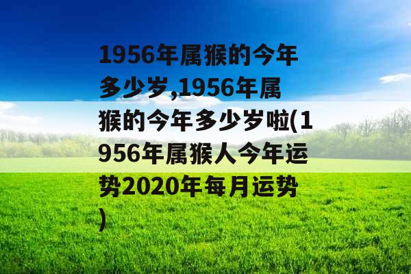 1956年属猴的今年多少岁,1956年属猴的今年多少岁啦(1956年属猴人今年运势2020年每月运势)