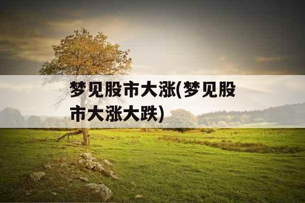 梦见股市大涨(梦见股市大涨大跌)