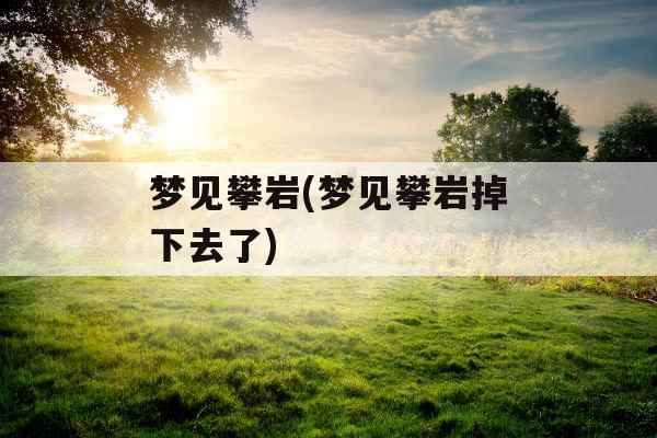 梦见攀岩(梦见攀岩掉下去了)