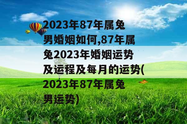 2023年87年属兔男婚姻如何,87年属兔2023年婚姻运势及运程及每月的运势(2023年87年属兔男运势)