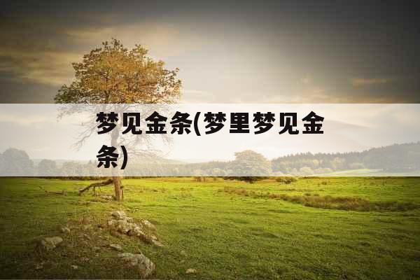 梦见金条(梦里梦见金条)