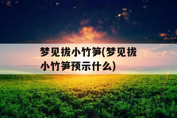 梦见拔小竹笋(梦见拔小竹笋预示什么)