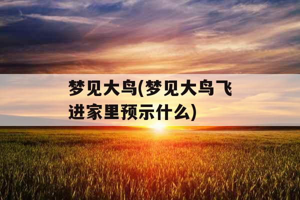 梦见大鸟(梦见大鸟飞进家里预示什么) 梦见大鸟(梦见大鸟飞进家里预示什么)