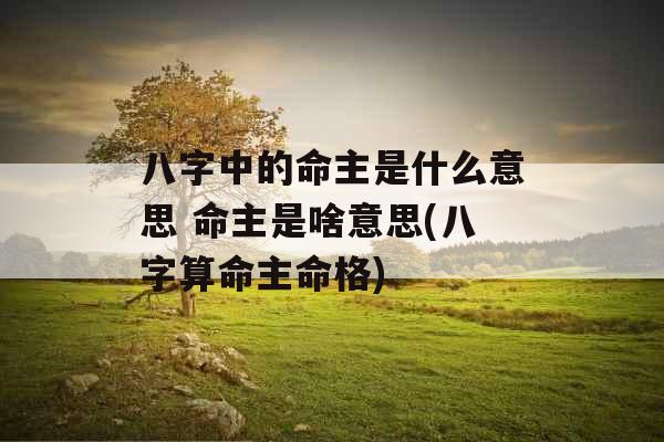 八字中的命主是什么意思 命主是啥意思(八字算命主命格)