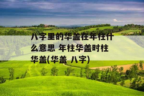 八字里的华盖在年柱什么意思 年柱华盖时柱华盖(华盖 八字)