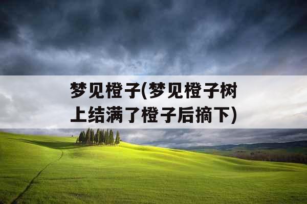 梦见橙子(梦见橙子树上结满了橙子后摘下)