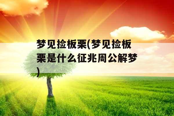 梦见捡板栗(梦见捡板栗是什么征兆周公解梦)