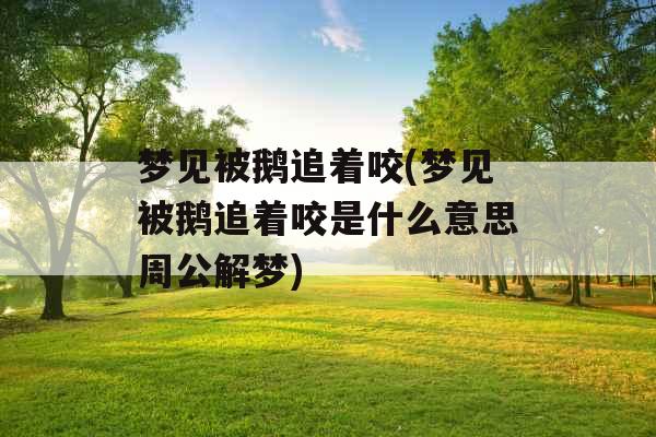 梦见被鹅追着咬(梦见被鹅追着咬是什么意思周公解梦)