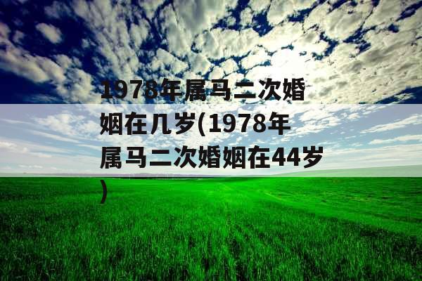 1978年属马二次婚姻在几岁(1978年属马二次婚姻在44岁)