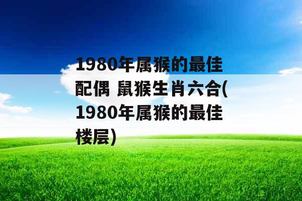 1980年属猴的最佳配偶 鼠猴生肖六合(1980年属猴的最佳楼层)