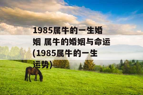 1985属牛的一生婚姻 属牛的婚姻与命运(1985属牛的一生运势) 1985属牛的一生婚姻 属牛的婚姻与命运(1985属牛的一生运势)