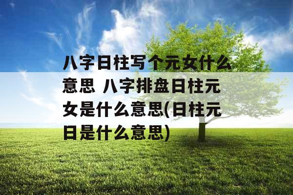 八字日柱写个元女什么意思 八字排盘日柱元女是什么意思(日柱元日是什么意思)