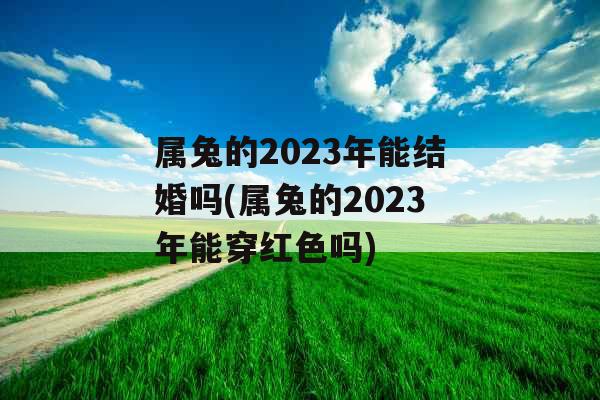 属兔的2023年能结婚吗(属兔的2023年能穿红色吗) 属兔的2023年能结婚吗(属兔的2023年能穿红色吗)