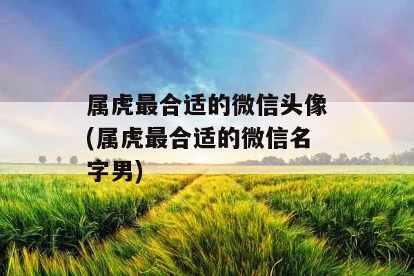 属虎最合适的微信头像(属虎最合适的微信名字男)