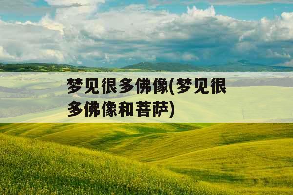 梦见很多佛像(梦见很多佛像和菩萨)