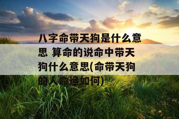 八字命带天狗是什么意思 算命的说命中带天狗什么意思(命带天狗的人命运如何)