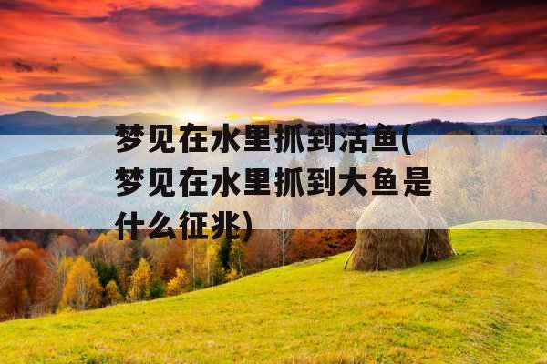梦见在水里抓到活鱼(梦见在水里抓到大鱼是什么征兆)