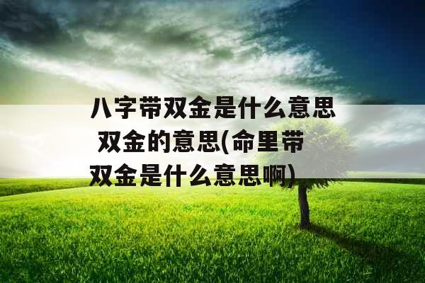 八字带双金是什么意思 双金的意思(命里带双金是什么意思啊)