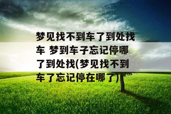 梦见找不到车了到处找车 梦到车子忘记停哪了到处找(梦见找不到车了忘记停在哪了)