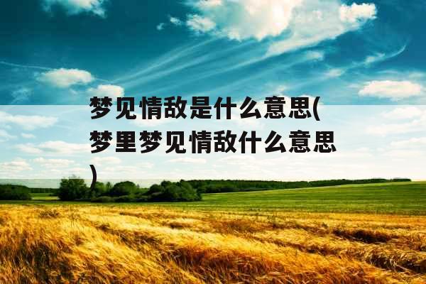 梦见情敌是什么意思(梦里梦见情敌什么意思)