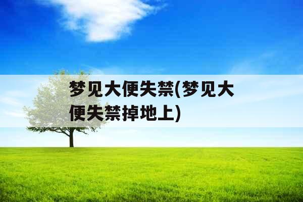 梦见大便失禁(梦见大便失禁掉地上)