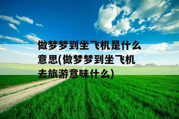 做梦梦到坐飞机是什么意思(做梦梦到坐飞机去旅游意味什么)