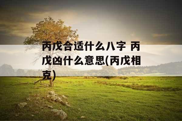 丙戊合适什么八字 丙戊凶什么意思(丙戊相克)