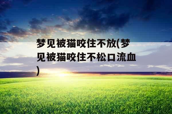 梦见被猫咬住不放(梦见被猫咬住不松口流血)