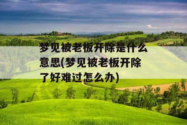 梦见被老板开除是什么意思(梦见被老板开除了好难过怎么办)
