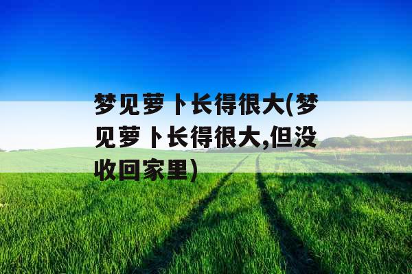 梦见萝卜长得很大(梦见萝卜长得很大,但没收回家里)