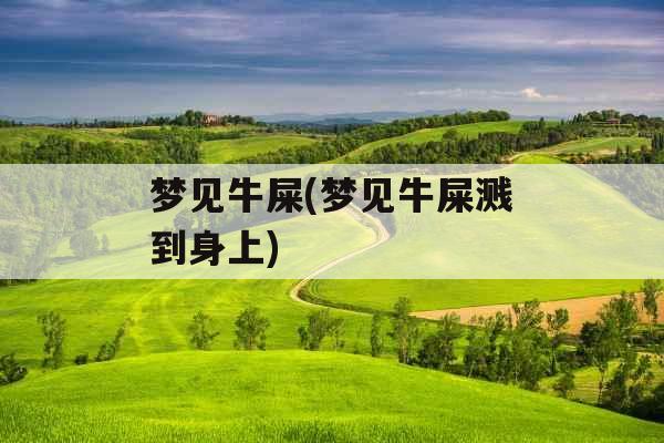 梦见牛屎(梦见牛屎溅到身上)