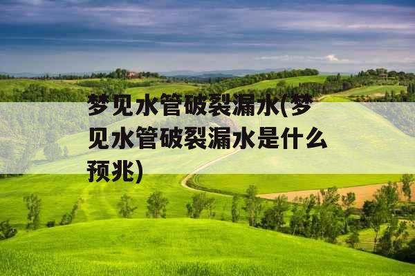 梦见水管破裂漏水(梦见水管破裂漏水是什么预兆)