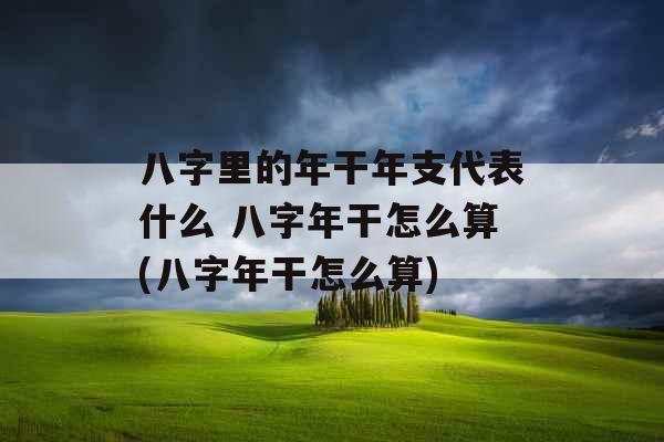 八字里的年干年支代表什么 八字年干怎么算(八字年干怎么算)