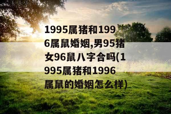 1995属猪和1996属鼠婚姻,男95猪女96鼠八字合吗(1995属猪和1996属鼠的婚姻怎么样)