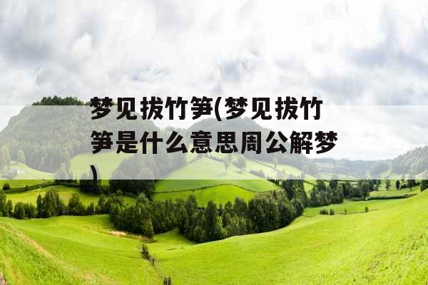 梦见拔竹笋(梦见拔竹笋是什么意思周公解梦)