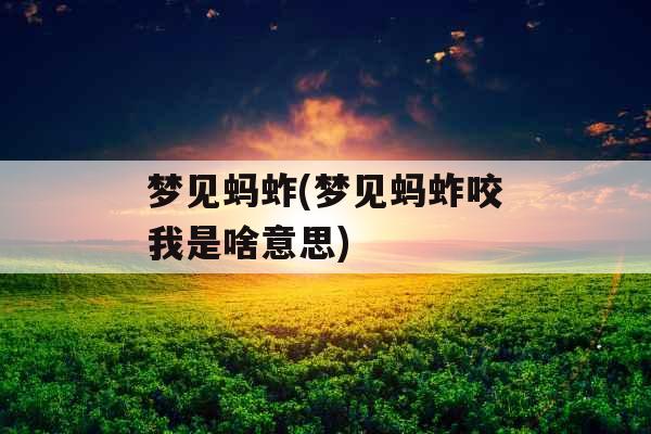 梦见蚂蚱(梦见蚂蚱咬我是啥意思)